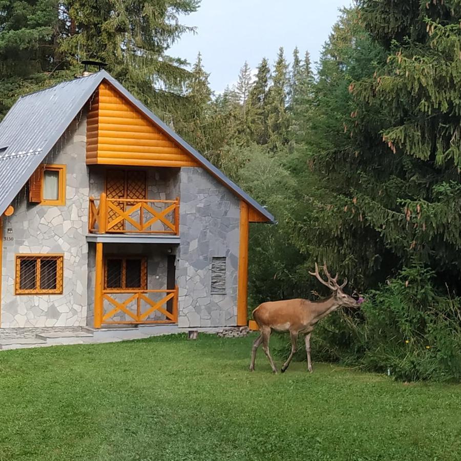 Chata Tatry タトランスカー・シュトゥルバ エクステリア 写真